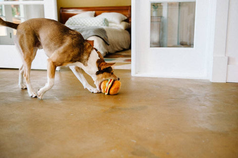 Pet American Classic Barky Burger Toy