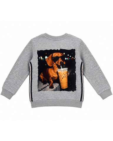Girl Grey Cool Dachshund Sweatshirt