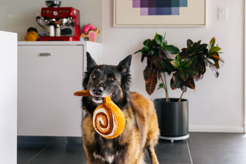 Pet Pup Cup Cafe Cinna-bone Toy