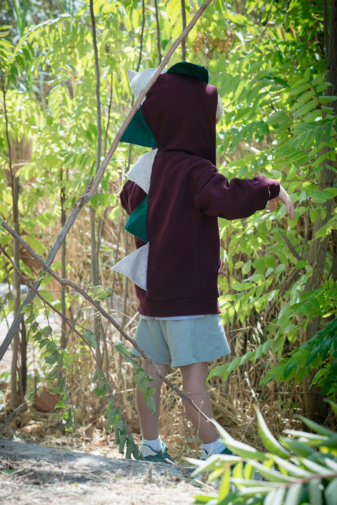 Boy Burgundy Dinosaur Hoodie with Green Spikes