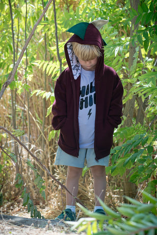 Boy Burgundy Dinosaur Hoodie with Green Spikes