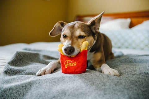 Pet American Classic Frenchie Fries Toy