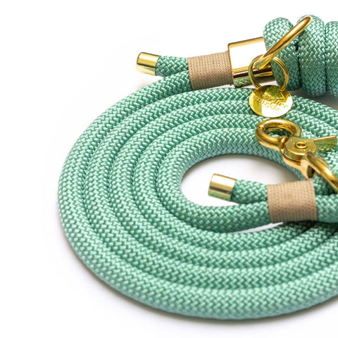 Dog Vert d'Eau Gold 180cm Leash