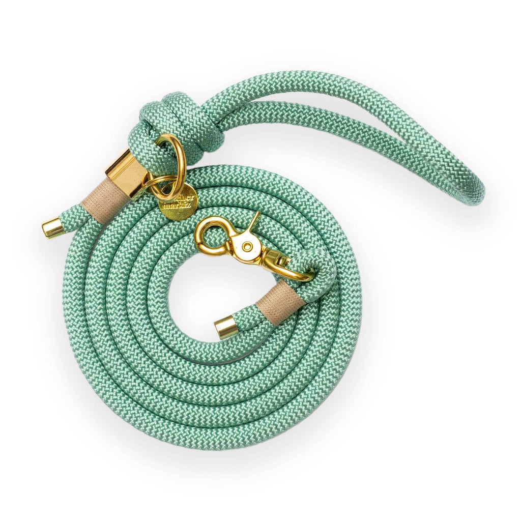 Dog Vert d'Eau Gold 180cm Leash